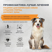 Brit Care Dog Adult Medium Dental Health для собак средних пород индейка